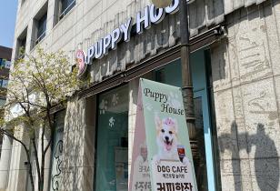 8-230 퍼피하우스